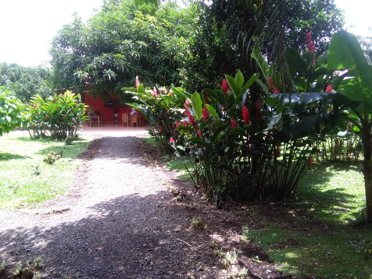 Paraiso Volcano Lodge Guayabo  Kültér fotó