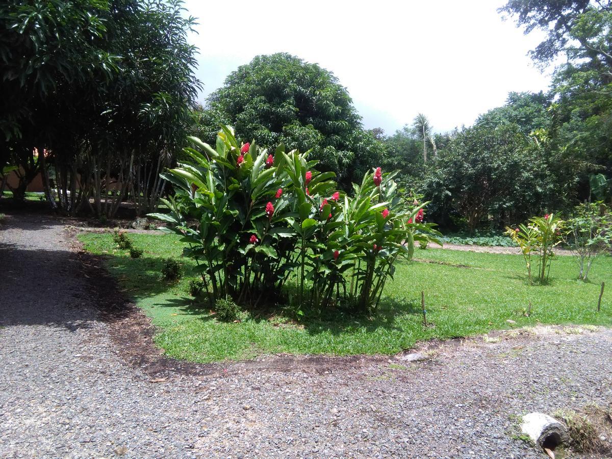 Paraiso Volcano Lodge Guayabo  Kültér fotó