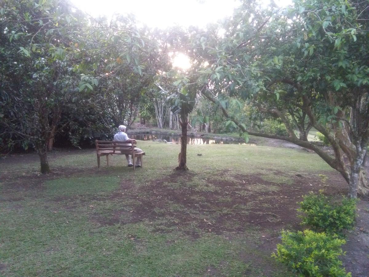 Paraiso Volcano Lodge Guayabo  Kültér fotó