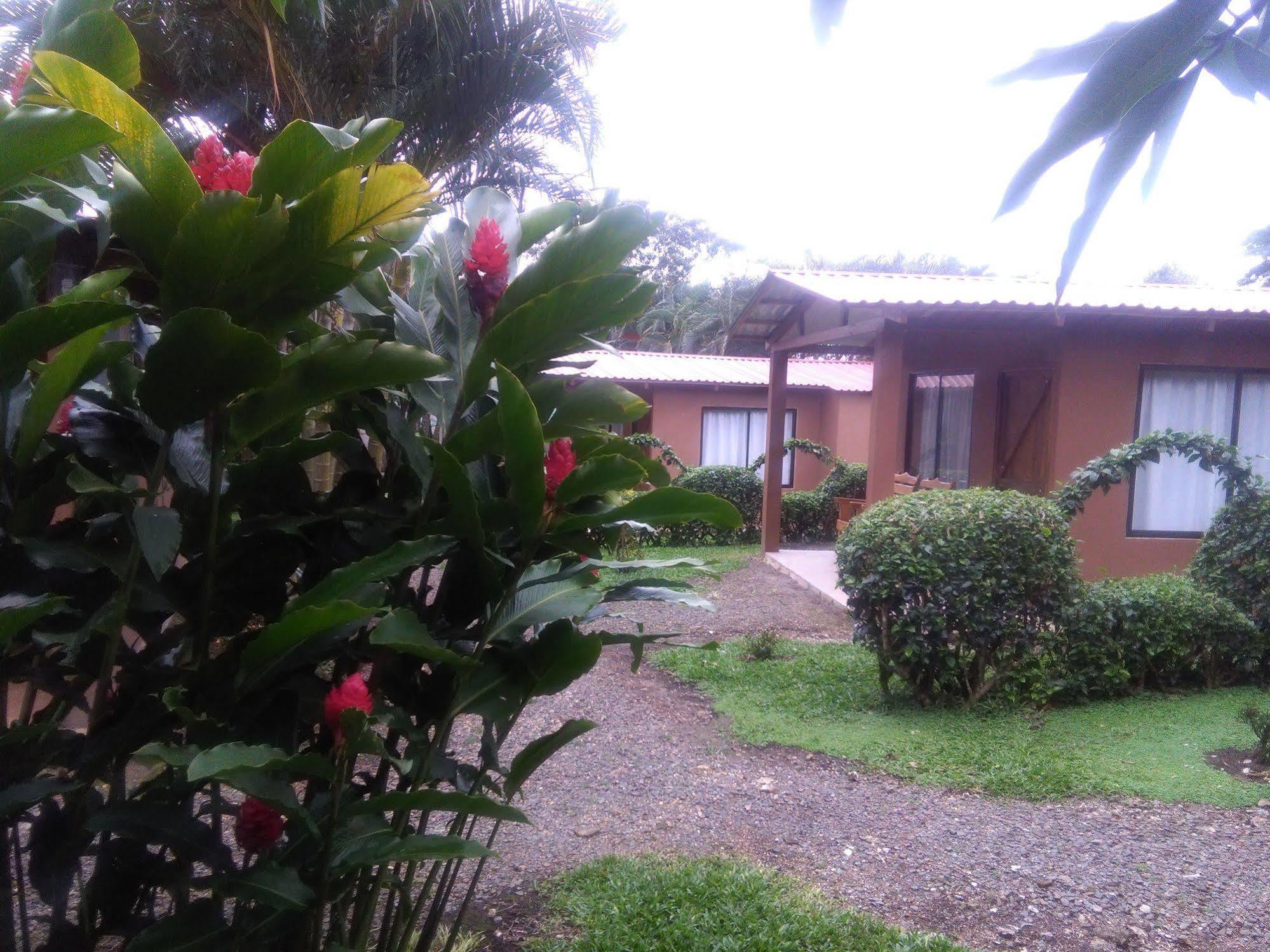 Paraiso Volcano Lodge Guayabo  Kültér fotó